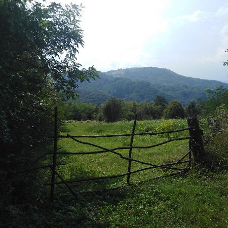 Guesthouse Smiljanic Slavkovica Ngoại thất bức ảnh