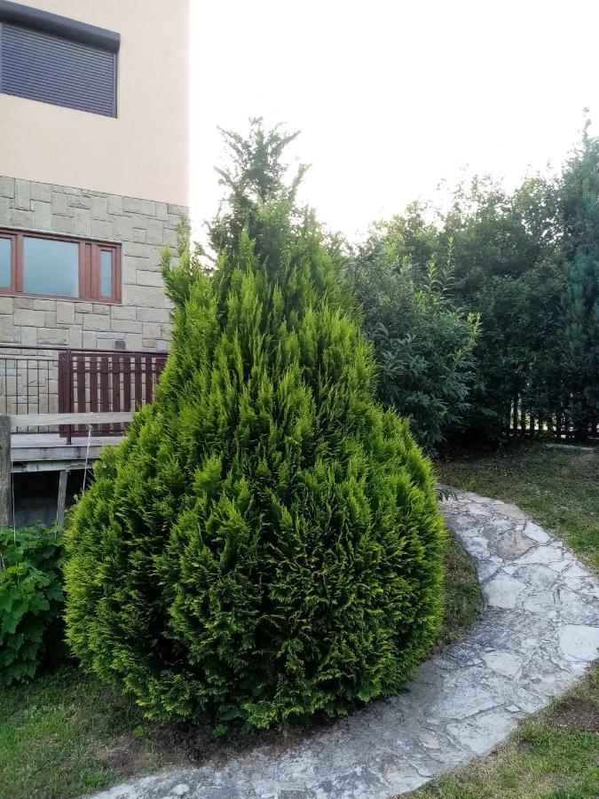 Guesthouse Smiljanic Slavkovica Ngoại thất bức ảnh