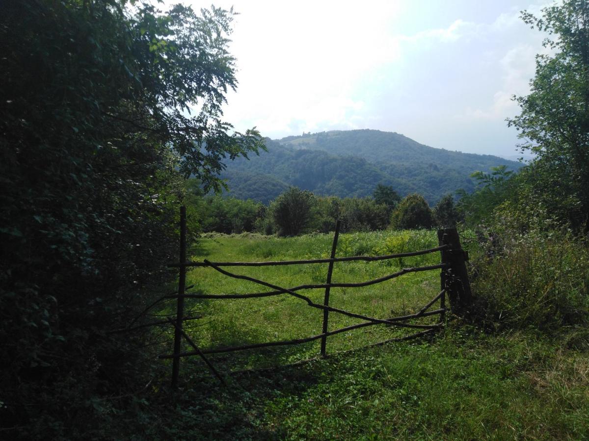 Guesthouse Smiljanic Slavkovica Ngoại thất bức ảnh