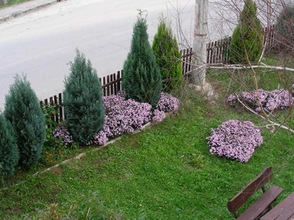Guesthouse Smiljanic Slavkovica Ngoại thất bức ảnh